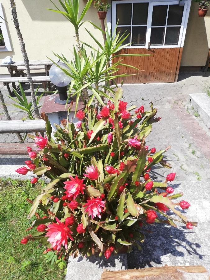 Penzion Baltazar Liptovska Luzna المظهر الخارجي الصورة